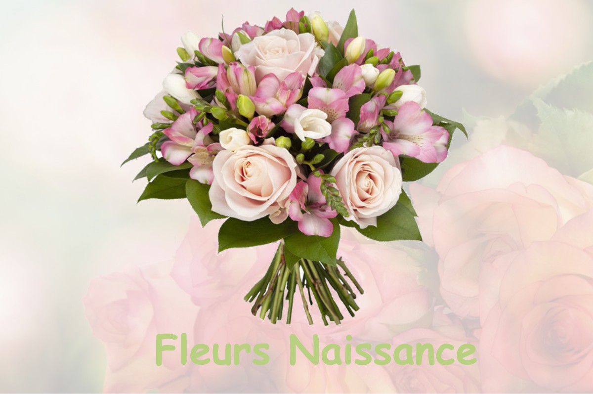 fleurs naissance BAZOUGES-SUR-LE-LOIR